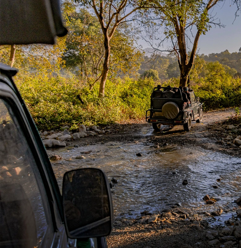 Corbett Fun Tour With - 2 Gypsy Safari