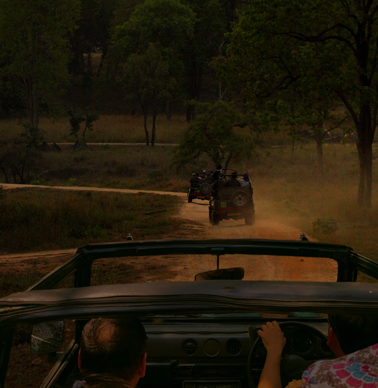 Corbett 2 Nights Tour With 2 Gypsy Safari